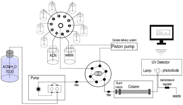 Development of a transportable High-Performance Liquid Chromatograph with Ultraviolet detection and a method for the rapid analysis of 13 carbonyl compounds hydrazones